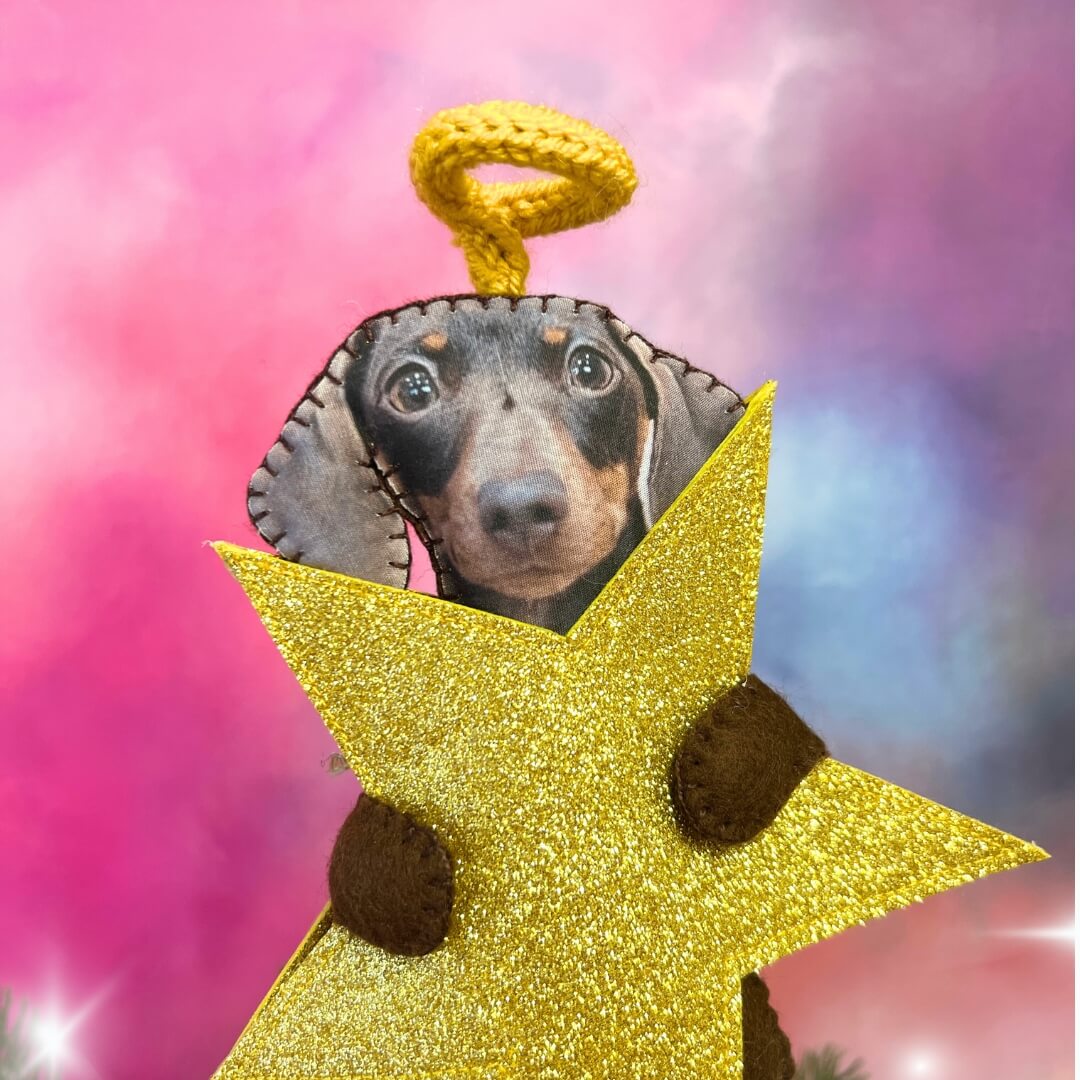 Custom Photo Pet Christmas Tree Topper