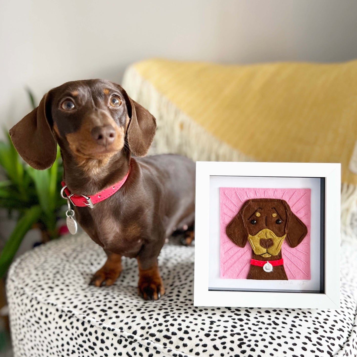 Bespoke Pet Portraits