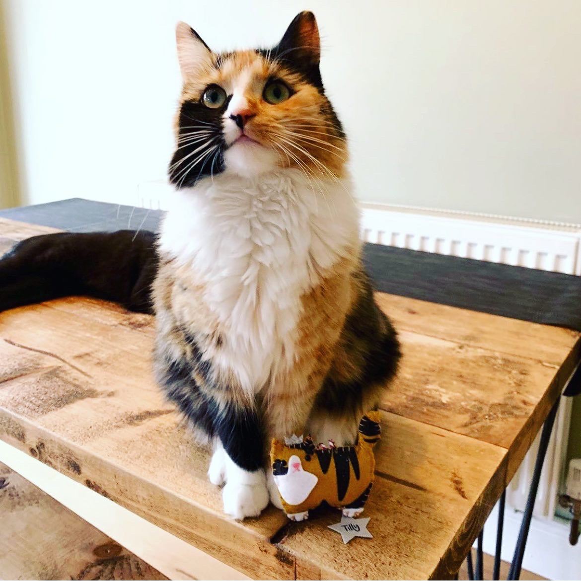 Bespoke Cat Christmas Decoration – Perfect Gift for Cat Lovers
