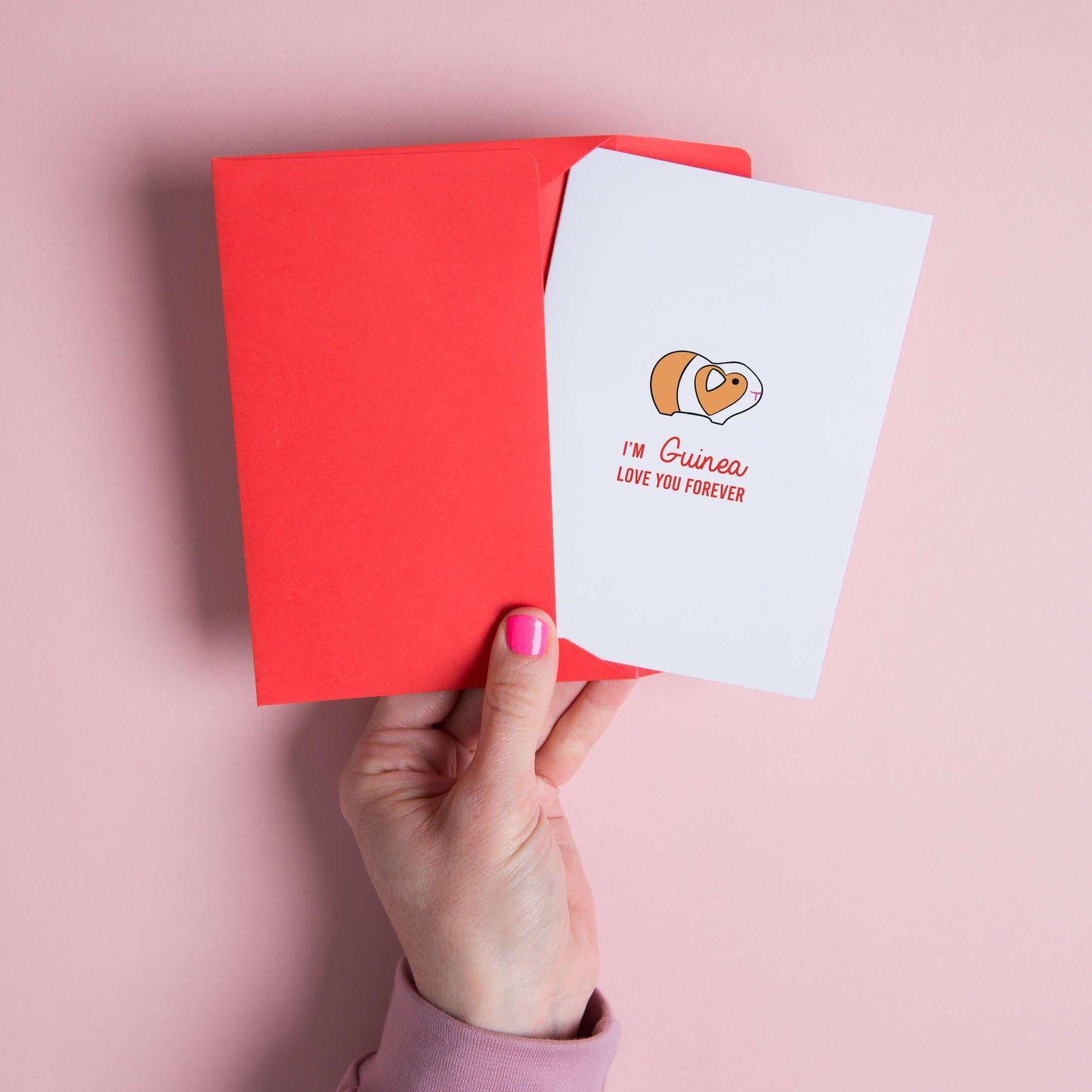 Guinea Pig Love Card