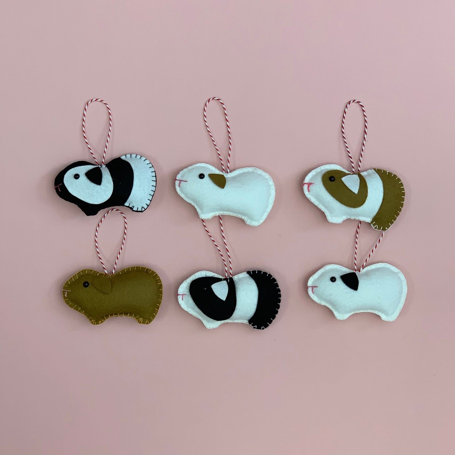 Guinea Pig Bundle for Valentine's day