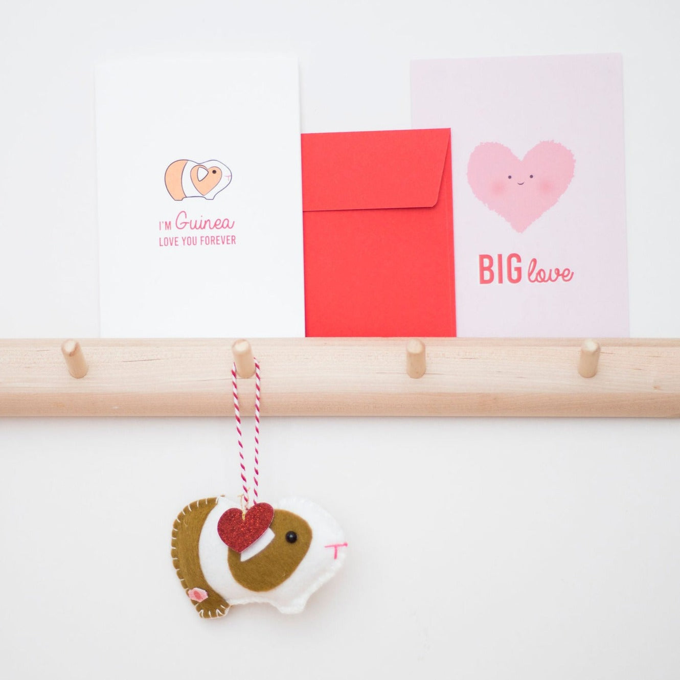 Guinea Pig Bundle for Valentine's day