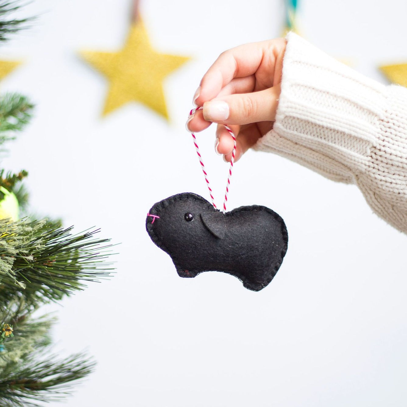 Guinea Pig Decoration