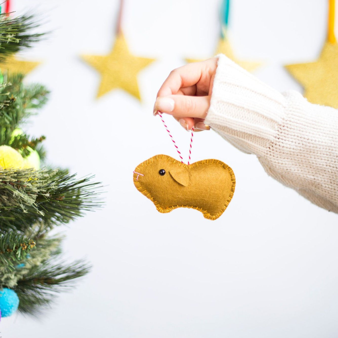 Guinea Pig Decoration