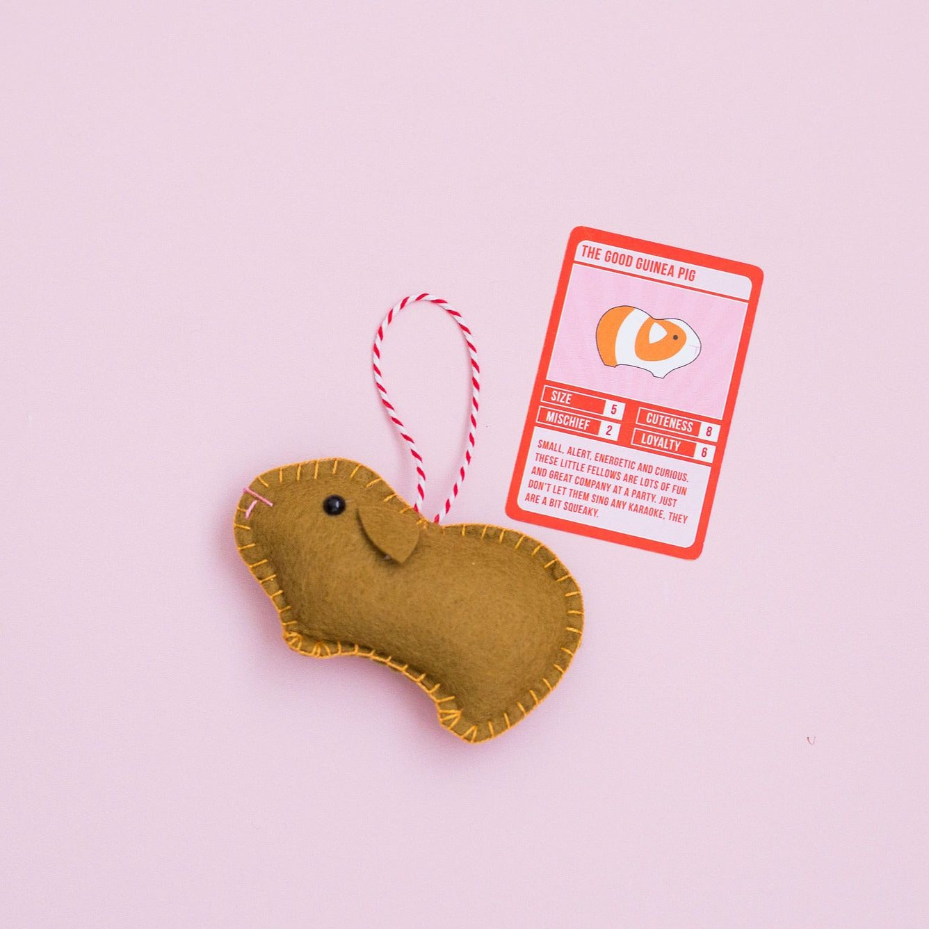 Guinea Pig Decoration