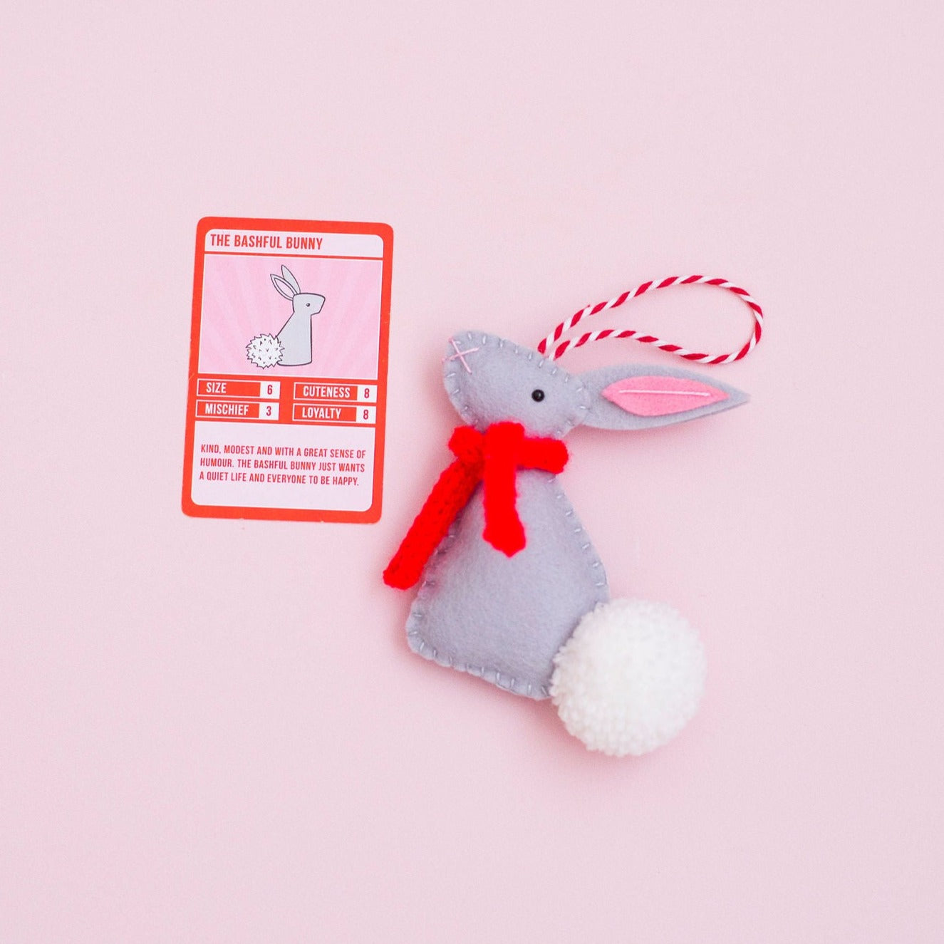 Bunny Personalised Decoration