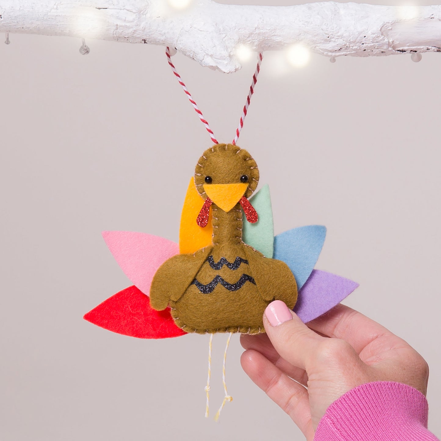 Personalised Thanksgiving Turkey Decoration