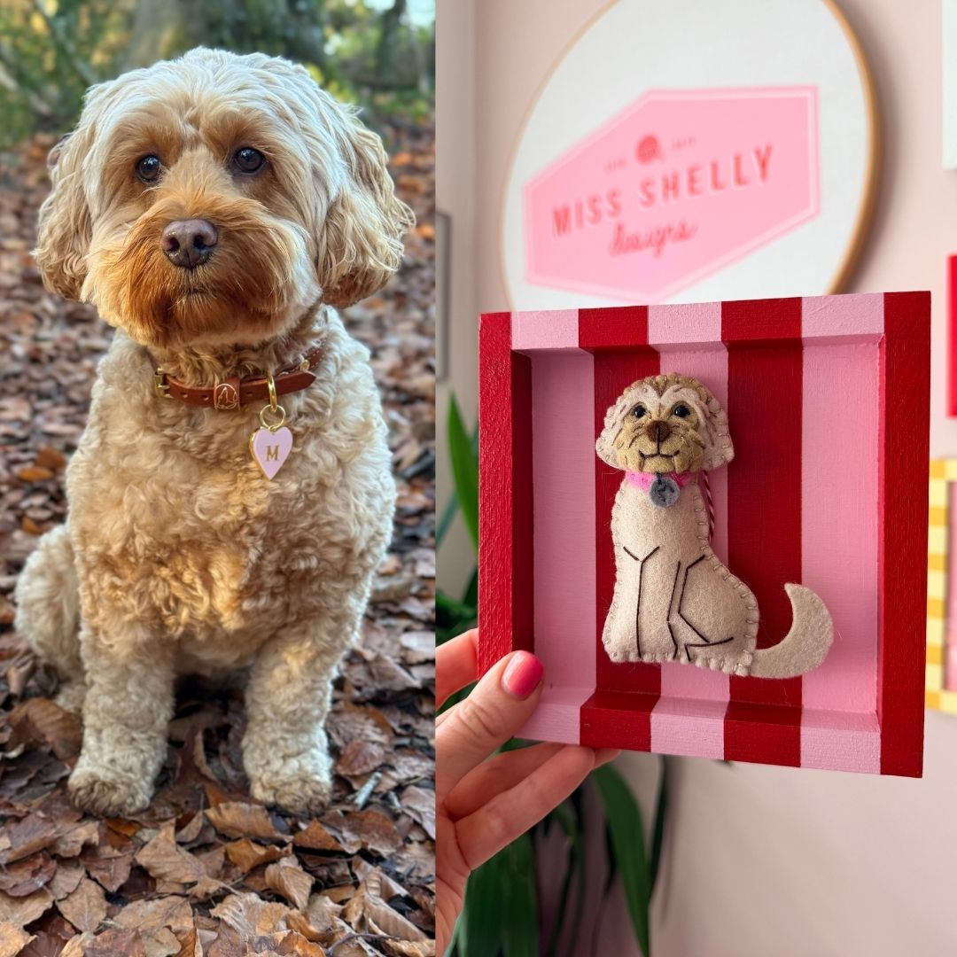 A split image showing a real dog outdoors on the left and a handmade felt dog ornament inside a red-and-pink striped frame being held by a hand on the right. The box has a sign in the background reading 'Miss Shelly Designs.