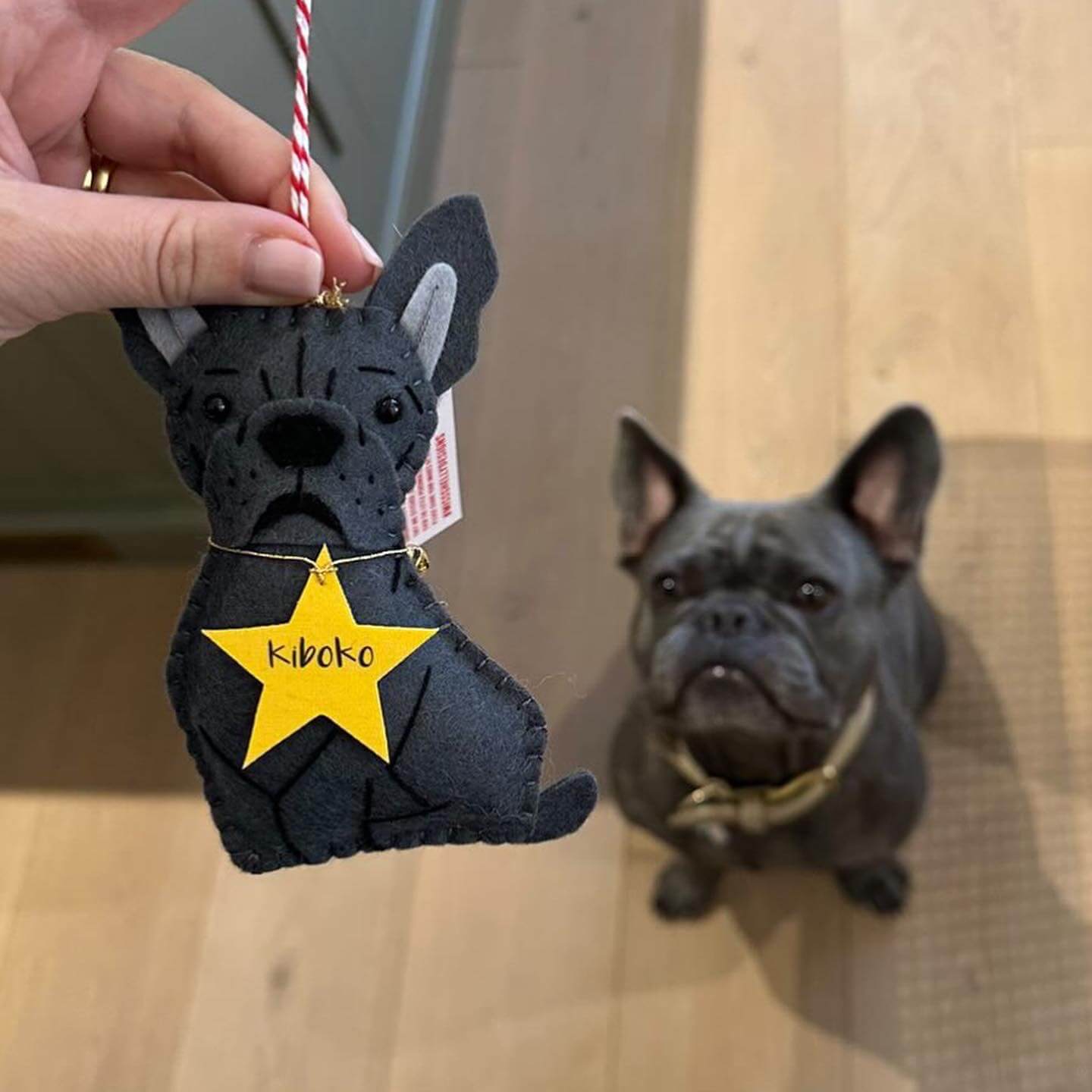 A grey felt french bulldog ornament next to the real-life dog to show the resemblance.