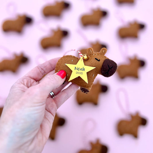 Hand holding a small capybara ornament with a 'Noah 2025' tag against a pink background with more capybara ornaments.