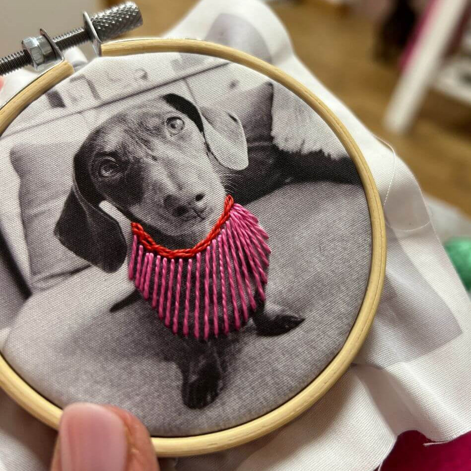 Photo of a pet dog in an embroidery hoop being hand embroidered with creative stitches