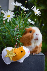 Guinea Pig Decoration