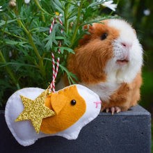 Load image into Gallery viewer, Guinea Pig Decoration