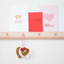 Load image into Gallery viewer, Guinea Pig Bundle for Valentine&#39;s day